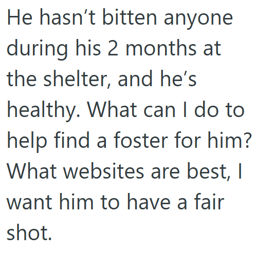 He hasn't bitten anyone during his 2 months at the shelter, and he's healthy. What can I do to help find a foster for him? What websites are best, I want him to have a fair shot.