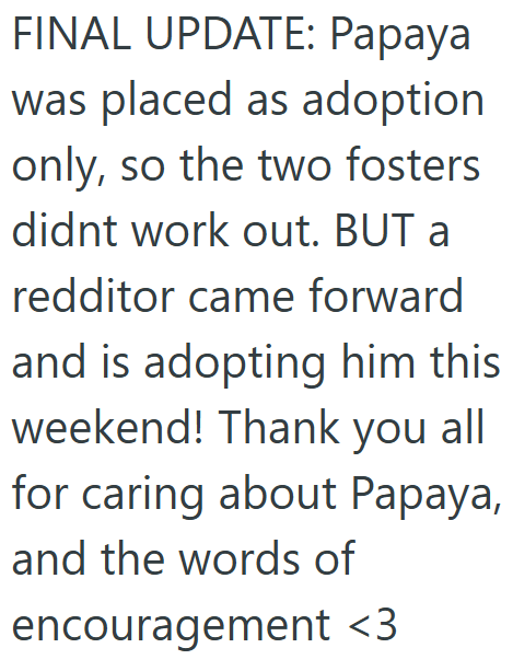 FINAL UPDATE: Papaya was placed as adoption only, so the two fosters didnt work out. BUT a redditor came forward and is adopting him this weekend! Thank you all for caring about Papaya, and the words of encouragement <3