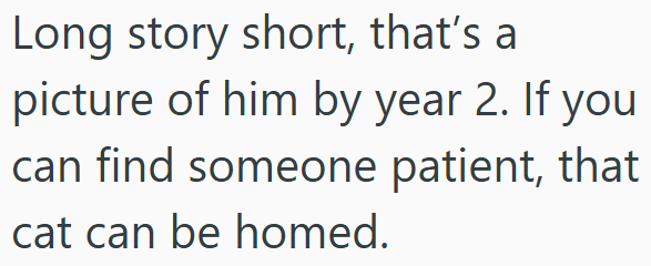 Long story short, that's a picture of him by year 2. If you can find someone patient, that cat can be homed.