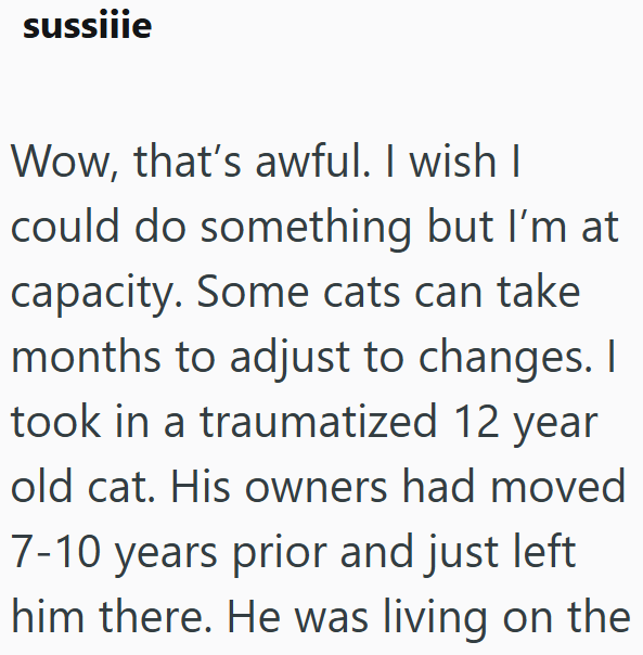 sussiiie Wow, that's awful. I wish I could do something but I'm at capacity. Some cats can take months to adjust to changes. I took in a traumatized 12 year old cat. His owners had moved 7-10 years prior and just left him there. He was living on the
