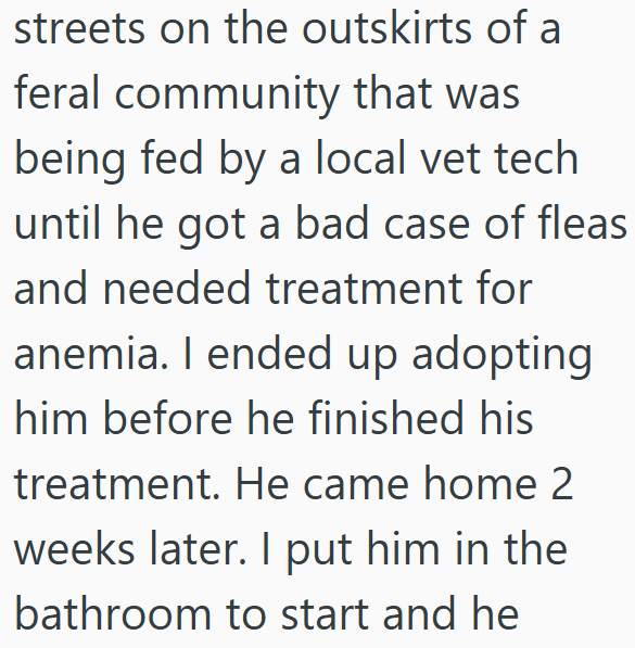 streets on the outskirts of a feral community that was being fed by a local vet tech until he got a bad case of fleas and needed treatment for anemia. I ended up adopting him before he finished his treatment. He came home 2 weeks later. I put him in the bathroom to start and he