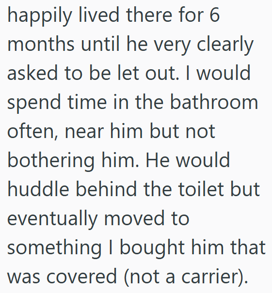 happily lived there for 6 months until he very clearly asked to be let out. I would spend time in the bathroom often, near him but not bothering him. He would huddle behind the toilet but eventually moved to something I bought him that was covered (not a carrier).