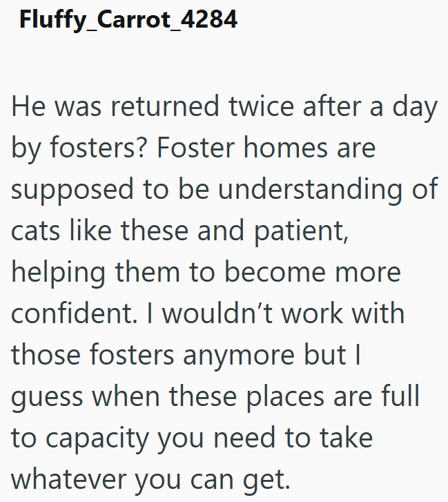 Fluffy_Carrot_4284 He was returned twice after a day by fosters? Foster homes are supposed to be understanding of cats like these and patient, helping them to become more confident. I wouldn't work with those fosters anymore but I guess when these places are full to capacity you need to take whatever you can get.