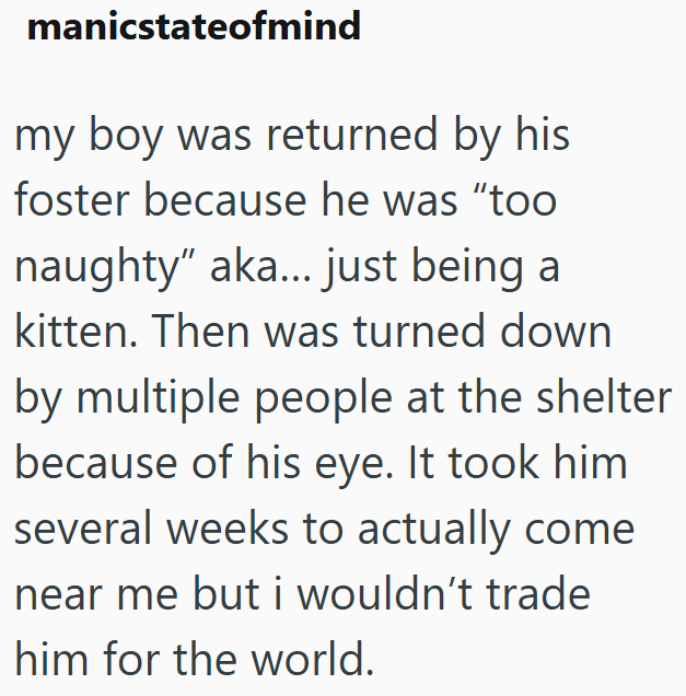 manicstateofmind my boy was returned by his foster because he was "too naughty" aka... just being a kitten. Then was turned down by multiple people at the shelter because of his eye. It took him several weeks to actually come near me but i wouldn't trade him for the world.