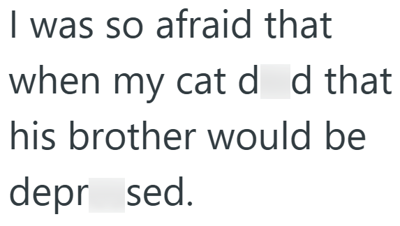I was so afraid that when my cat d d that his brother would be depr sed.