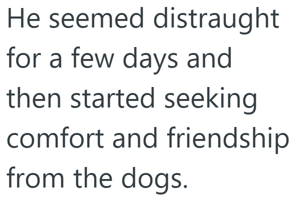 He seemed distraught for a few days and then started seeking comfort and friendship from the dogs.