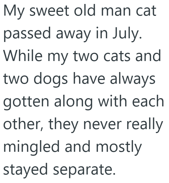 My sweet old man cat passed away in July. While my two cats and two dogs have always gotten along with each other, they never really mingled and mostly stayed separate.