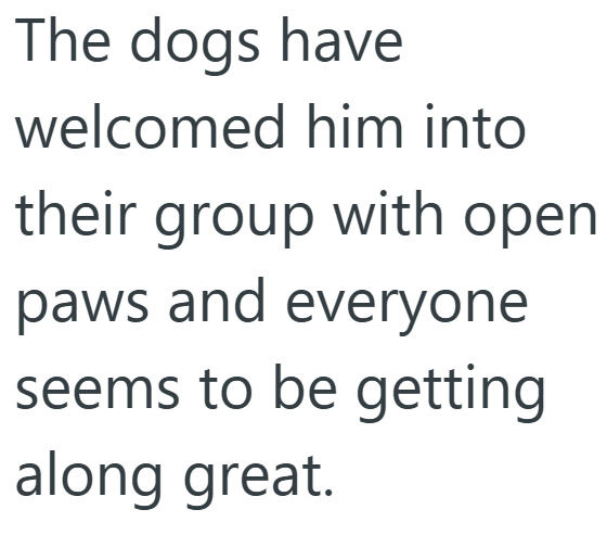 The dogs have welcomed him into their group with open paws and everyone seems to be getting along great.