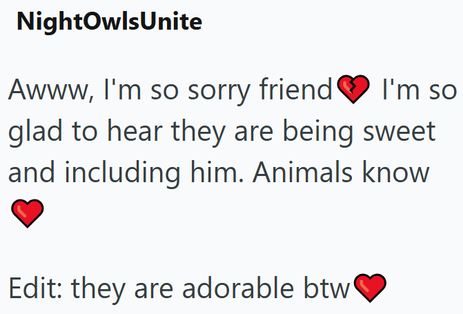 NightOwlsUnite Awww, I'm so sorry friend I'm so glad to hear they are being sweet and including him. Animals know Edit: they are adorable btw