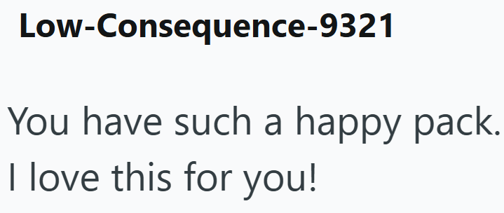 Low-Consequence-9321 You have such a happy pack. I love this for you!