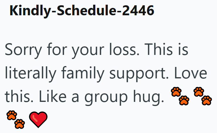 Kindly-Schedule-2446 Sorry for your loss. This is literally family support. Love this. Like a group hug.