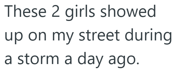 These 2 girls showed up on my street during a storm a day ago.