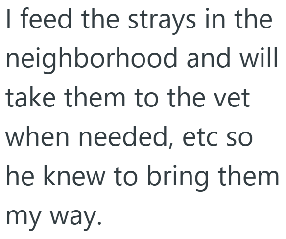 I feed the strays in the neighborhood and will take them to the vet when needed, etc so he knew to bring them my way.