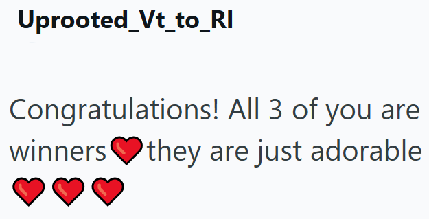 Uprooted_Vt_to_RI Congratulations! All 3 of you are winners they are just adorable