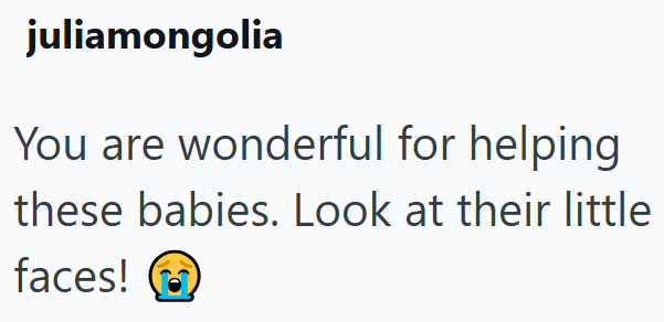 juliamongolia You are wonderful for helping these babies. Look at their little faces!