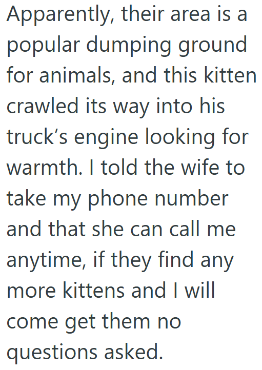 Apparently, their area is a popular dumping ground for animals, and this kitten crawled its way into his truck's engine looking for warmth. I told the wife to take my phone number and that she can call me anytime, if they find any more kittens and I will come get them no questions asked.