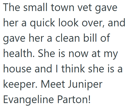 The small town vet gave her a quick look over, and gave her a clean bill of health. She is now at my house and I think she is a keeper. Meet Juniper Evangeline Parton!