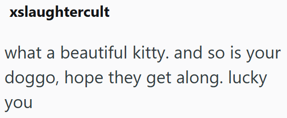 xslaughtercult what a beautiful kitty. and so is your doggo, hope they get along. lucky you