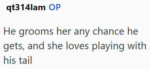 qt314lam OP He grooms her any chance he gets, and she loves playing with his tail
