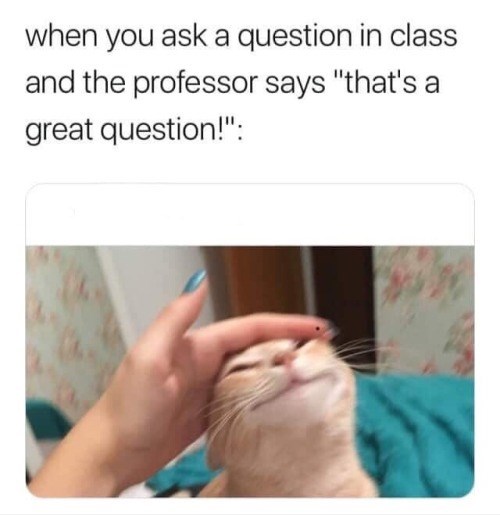 when you ask a question in class and the professor says "that's a great question!":