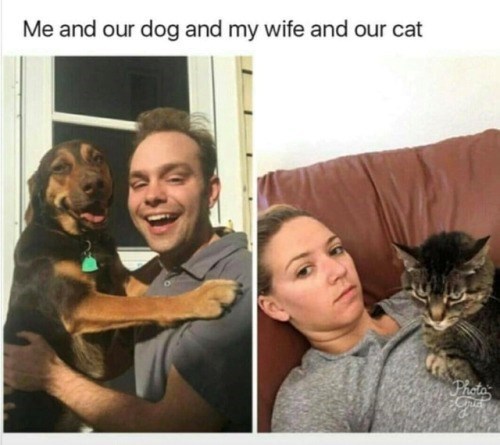 Me and our dog and my wife and our cat Photo