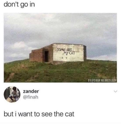 don't go in COME SEE MY CAT zander @finah but i want to see the cat FB@DANK MEMEOLOGY
