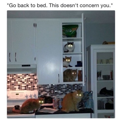 "Go back to bed. This doesn't concern you."