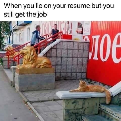 When you lie on your resume but you still get the job Алое