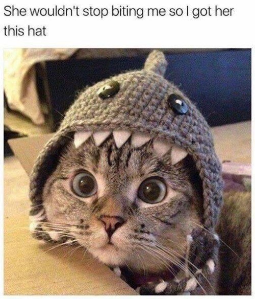 She wouldn't stop biting me so I got her this hat