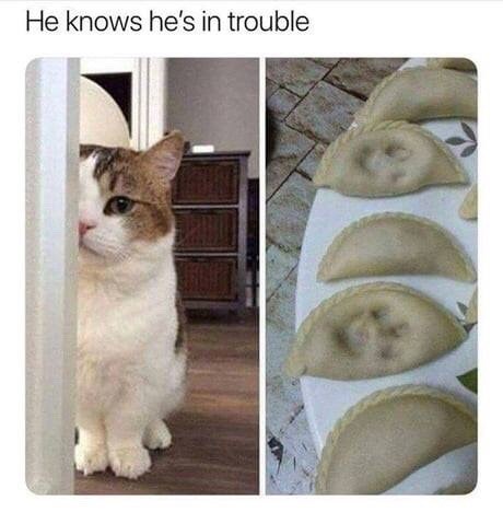 He knows he's in trouble