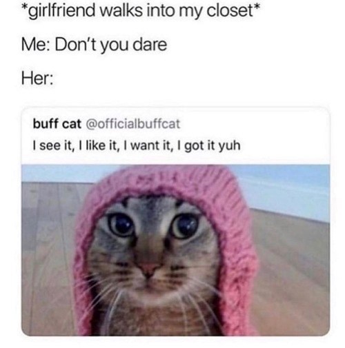 *girlfriend walks into my closet* Me: Don't you dare Her: buff cat @officialbuffcat I see it, I like it, I want it, I got it yuh