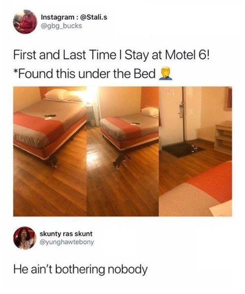 Instagram: @Stali.s @gbg_bucks First and Last Time I Stay at Motel 6! *Found this under the Bed skunty ras skunt @yunghawtebony He ain't bothering nobody