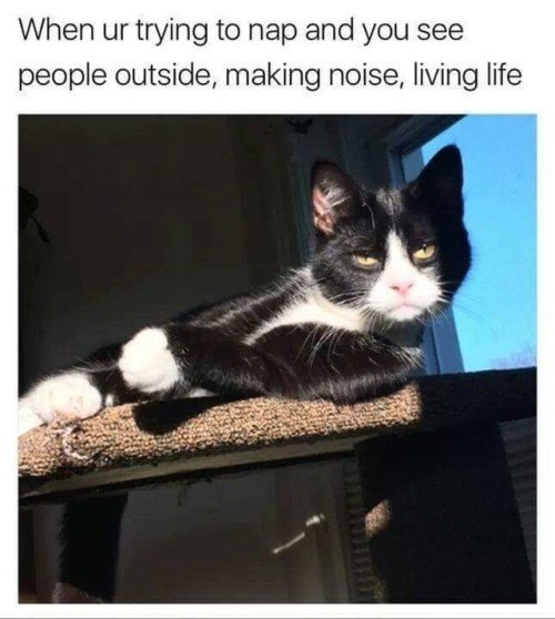 When ur trying to nap and you see people outside, making noise, living life