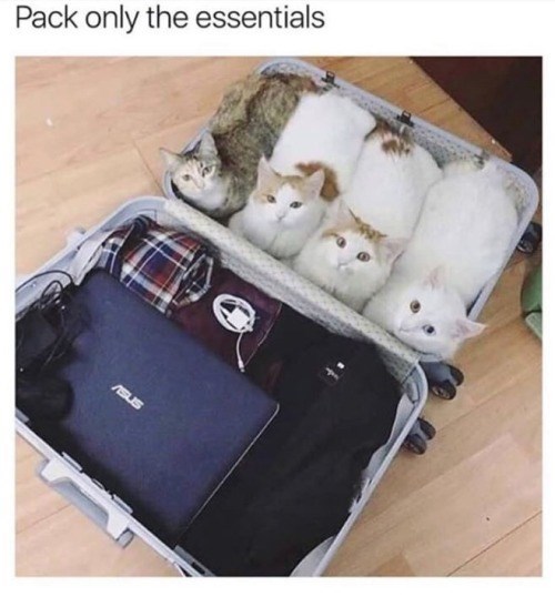 Pack only the essentials ASUS