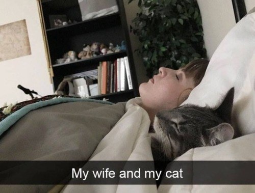 My wife and my cat