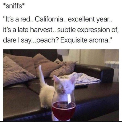 *sniffs* "It's a red.. California.. excellent year.. it's a late harvest.. subtle expression of, dare I say...peach? Exquisite aroma."