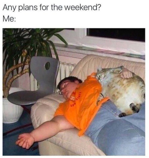 Any plans for the weekend? Me: