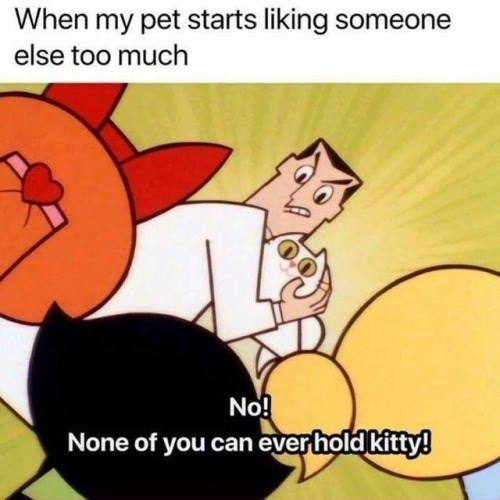 When my pet starts liking someone else too much No! None of you can ever hold kitty!