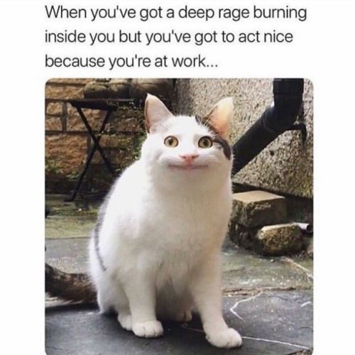When you've got a deep rage burning inside you but you've got to act nice because you're at work...