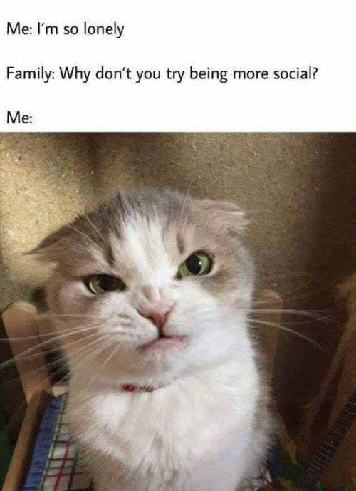 Me: I'm so lonely Family: Why don't you try being more social? Me: