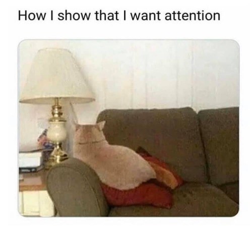 How I show that I want attention