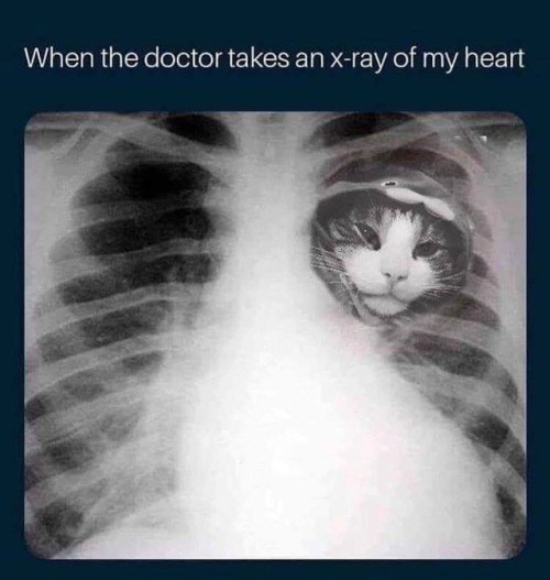 When the doctor takes an x-ray of my heart