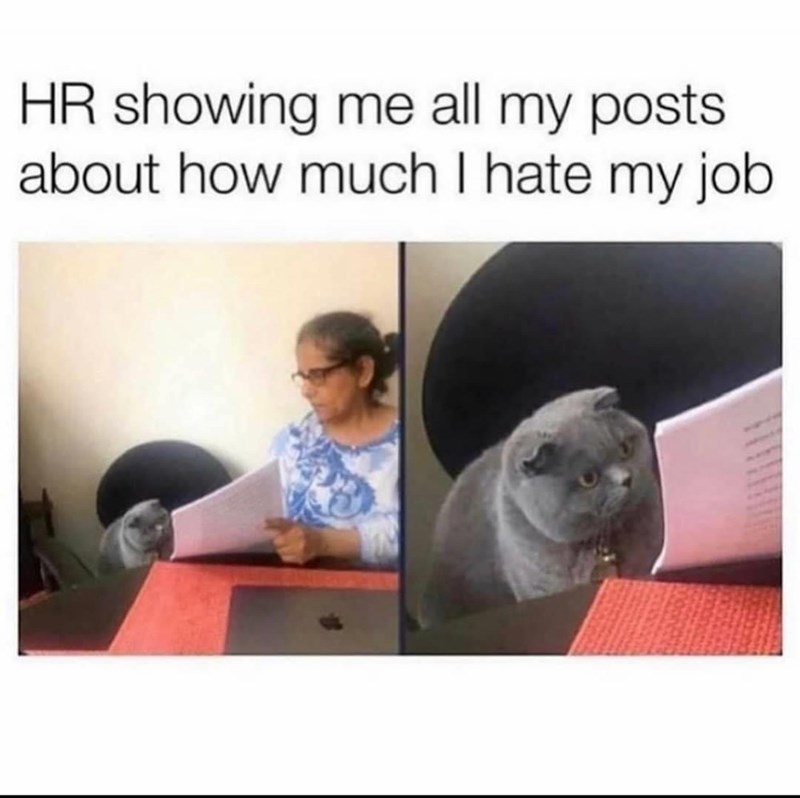 HR showing me all my posts about how much I hate my job