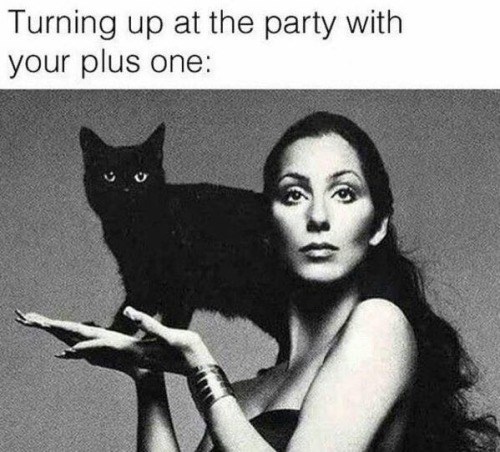 Turning up at the party with your plus one: