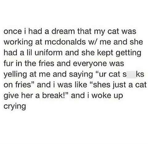 once i had a dream that my cat was working at mcdonalds w/ me and she had a lil uniform and she kept getting fur in the fries and everyone was yelling at me and saying "ur cat s ks on fries" and i was like "shes just a cat give her a break!" and i woke up crying