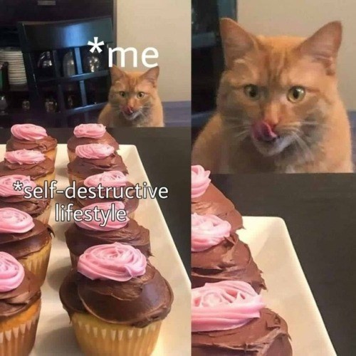 *me self-destructive lifestyle