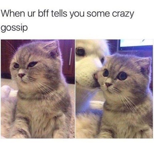 When ur bff tells you some crazy gossip