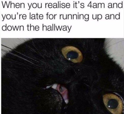 When you realise it's 4am and you're late for running up and down the hallway