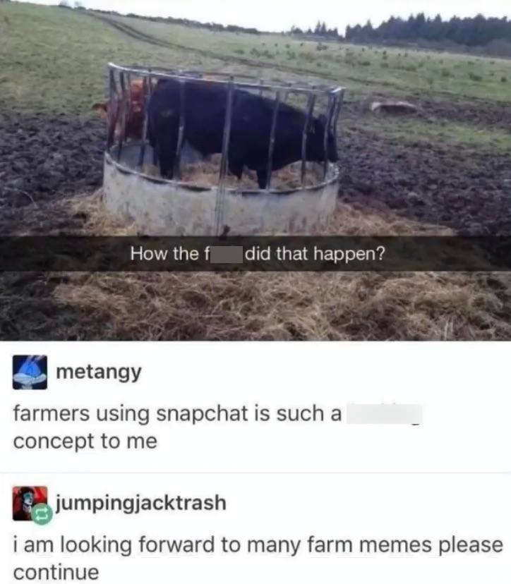 How the f did that happen? metangy farmers using snapchat is such a concept to me jumpingjacktrash i am looking forward to many farm memes please continue