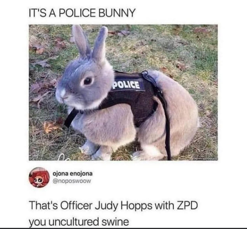 IT'S A POLICE BUNNY POLICE ojona enojona @noposwoow That's Officer Judy Hopps with ZPD you uncultured swine MAYCHELAIS